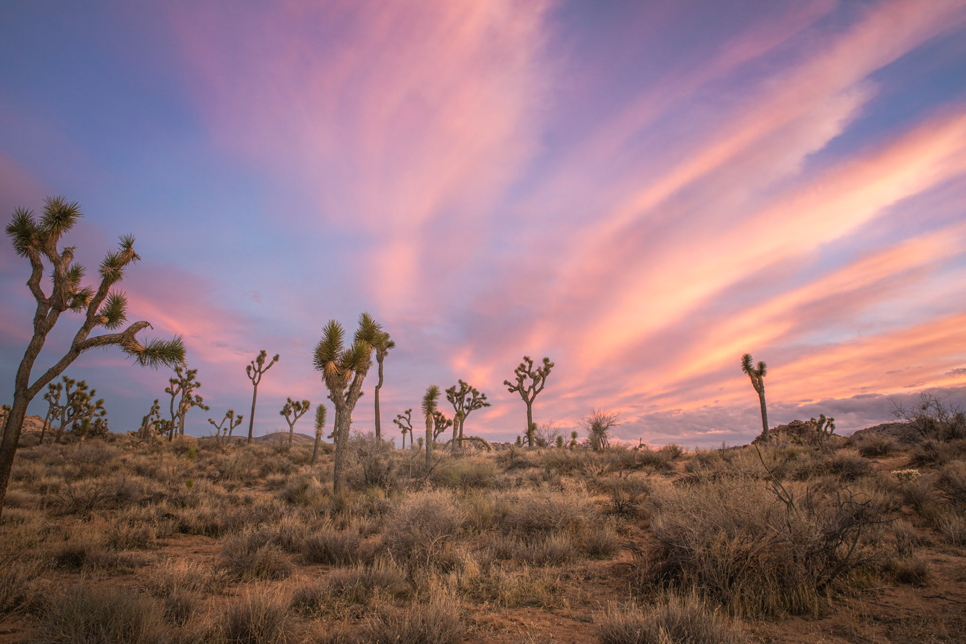 Hidden Valley, late afternon.Joshua Tree National ParkCaliforniaFebruary 21, 2020Pentax K-1, HD PENTAX-D FA 24-70mm F2.8ED SDM WRISO 100 24 mm  0.3 sec at ƒ / 14