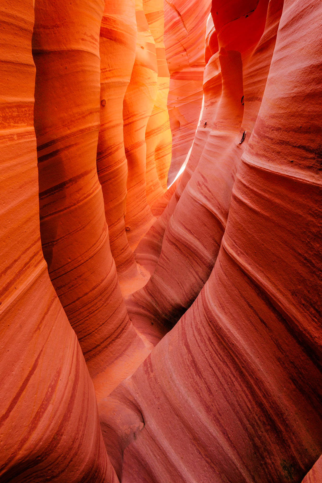 Zebra Slot CanyonGrand Staircase - Escalante National MonumentUtahNovember 10, 2017PENTAX K-1, HD PENTAX-D FA 15-30mm F2.8ED SDM WRISO 100 23 mm  0.8 sec at ƒ / 22