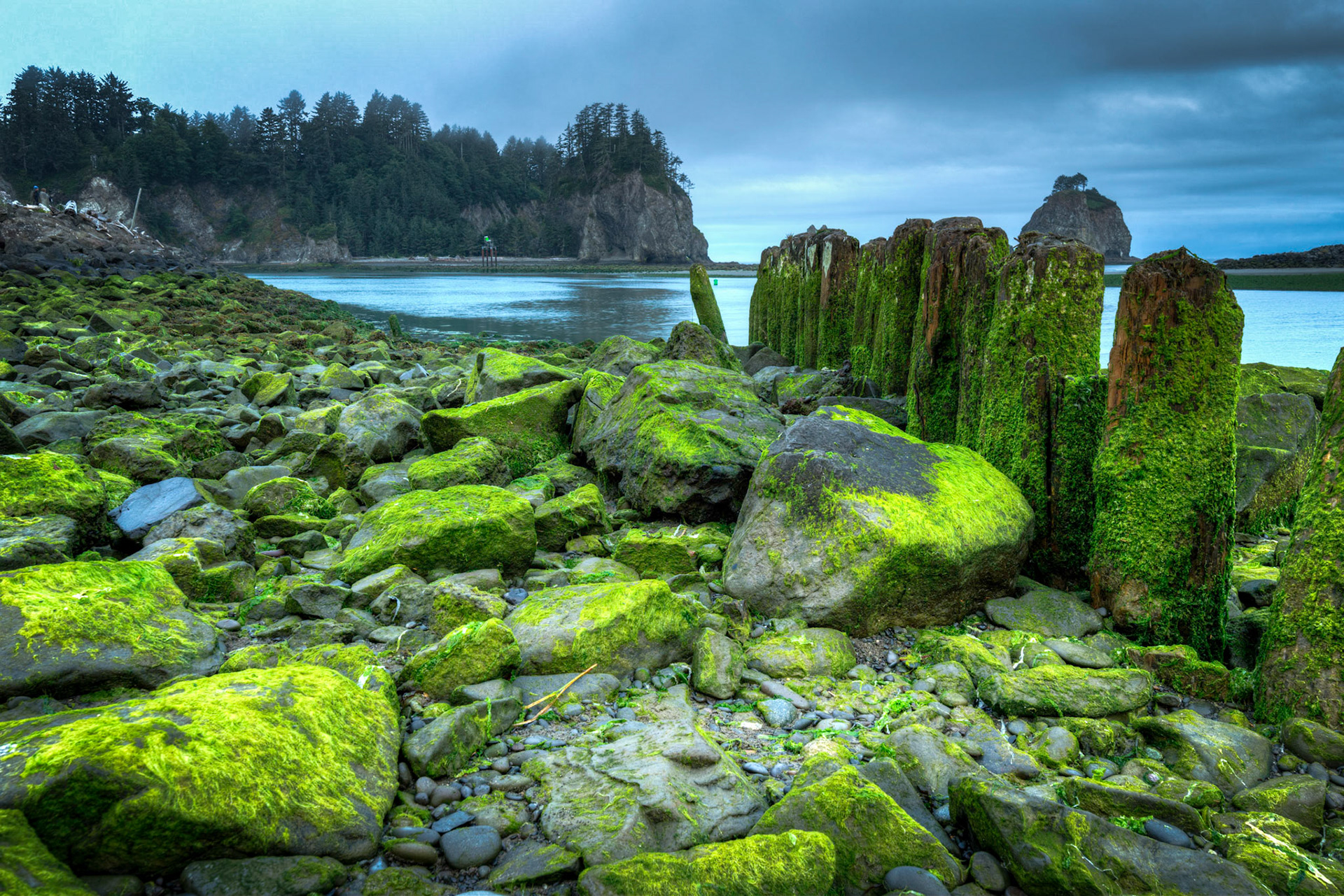 First Beach on a foggy morningOlympic National ParkWashingtonAugust 2, 2016PENTAX K-1, HD PENTAX-D FA 15-30mm F2.8ED SDM WRISO 100 26 mm  0.4 sec at ƒ / 20