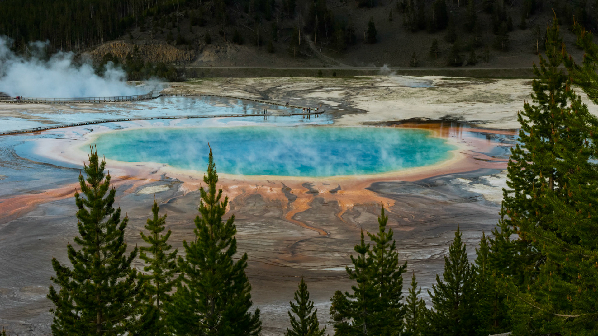 The Grand Prismatic Spring, from the hill to the south.  You can't really get a full appreciation of all of the colours that are present in this thermal feature from ground level.I had intended to stick around longer at this spot to get some additional compositions, but I was getting eaten by mosquitos.Yellowstone National Park12 June 2014PENTAX K-3, Sigma 18-250mm f/3.5-6.3 DC OS HSMISO 400 45 mm  ¹⁄₂₅ sec at ƒ / 11Prints of my work are available from my website at http://www.fingolfinphoto.comFollow me on Facebook at http://www.facebook.com/fingolfinphoto or http://www.facebook.com/pesterleAlso, http://500px.com/pesterle   http://www.flickr.com/photos/fingolfinphoto