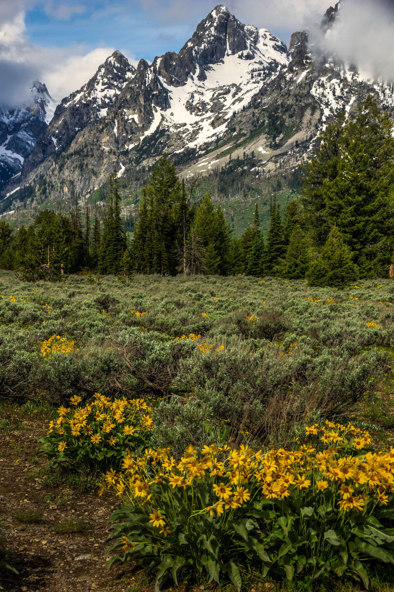 At the Cathedral Group overlook.Grand Teton National Park17 June 2014PENTAX K-3, Sigma 18-250mm f/3.5-6.3 DC OS HSMISO 100 53 mm  ¹⁄₁₀₀ sec at ƒ / 9.0Prints of my work are available from my website at http://www.fingolfinphoto.comFollow me on Facebook at http://www.facebook.com/fingolfinphoto or http://www.facebook.com/pesterleAlso, http://500px.com/pesterle   http://www.flickr.com/photos/fingolfinphoto