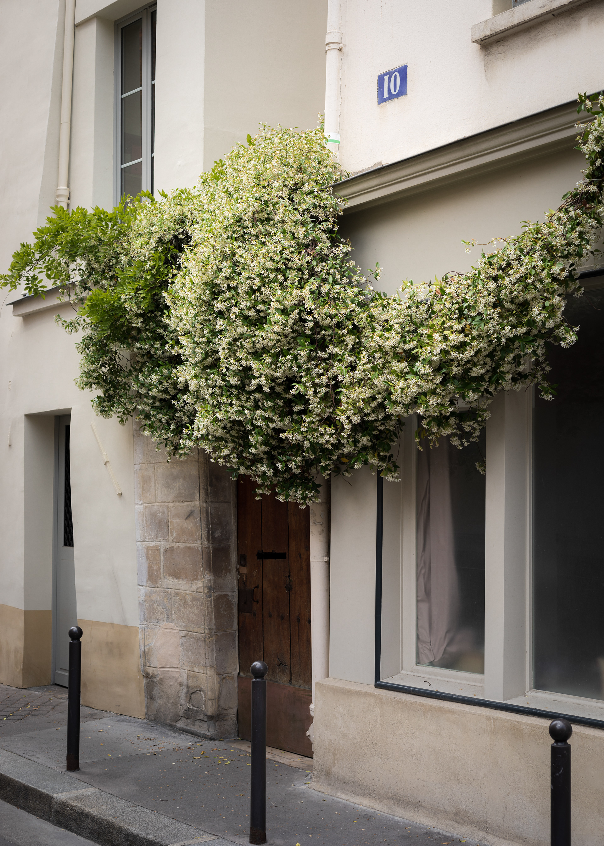 COURONNE FLEURIE • Paris 06