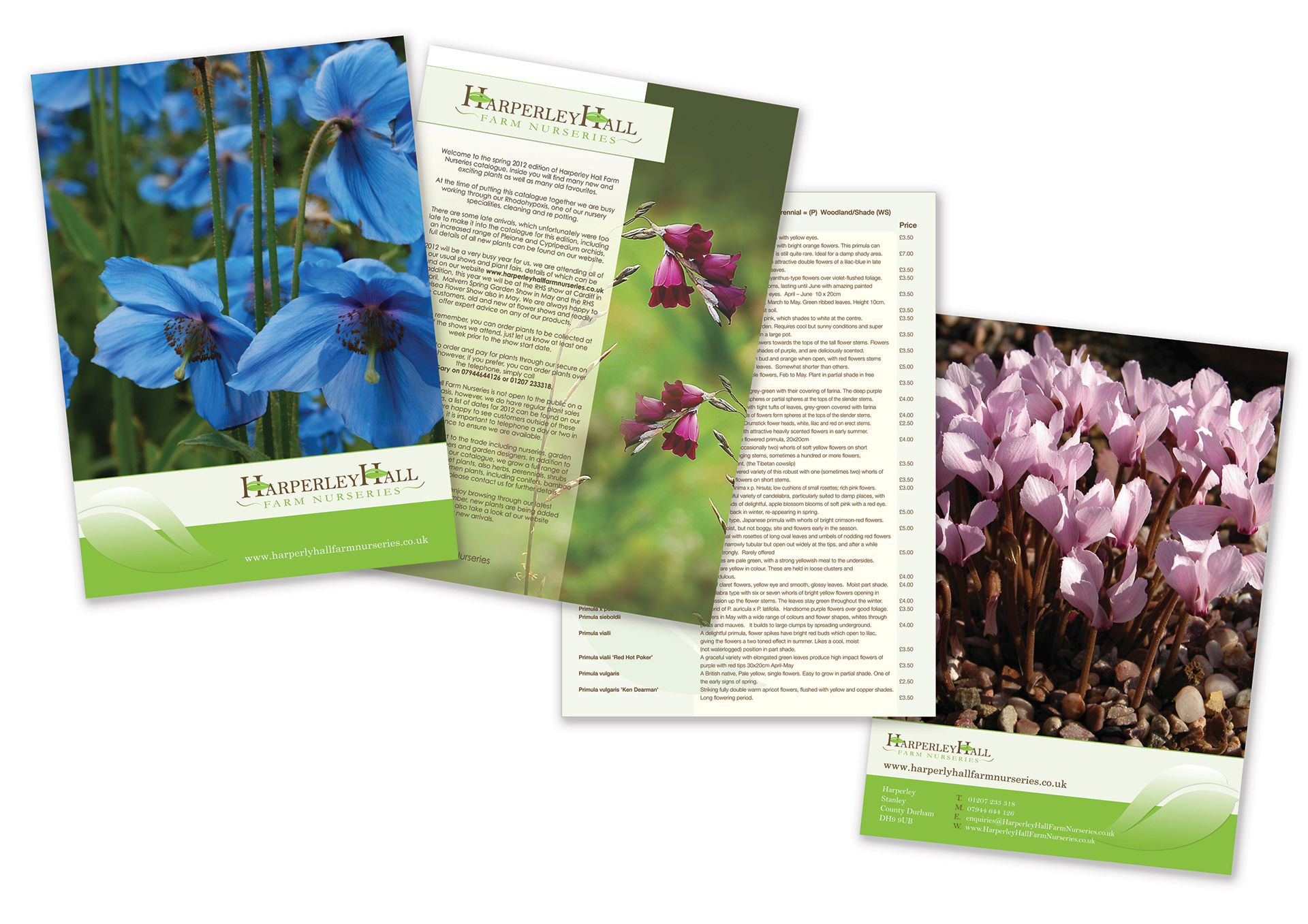 Catalogue For Harperley Hall for the Chelsea Flower Show