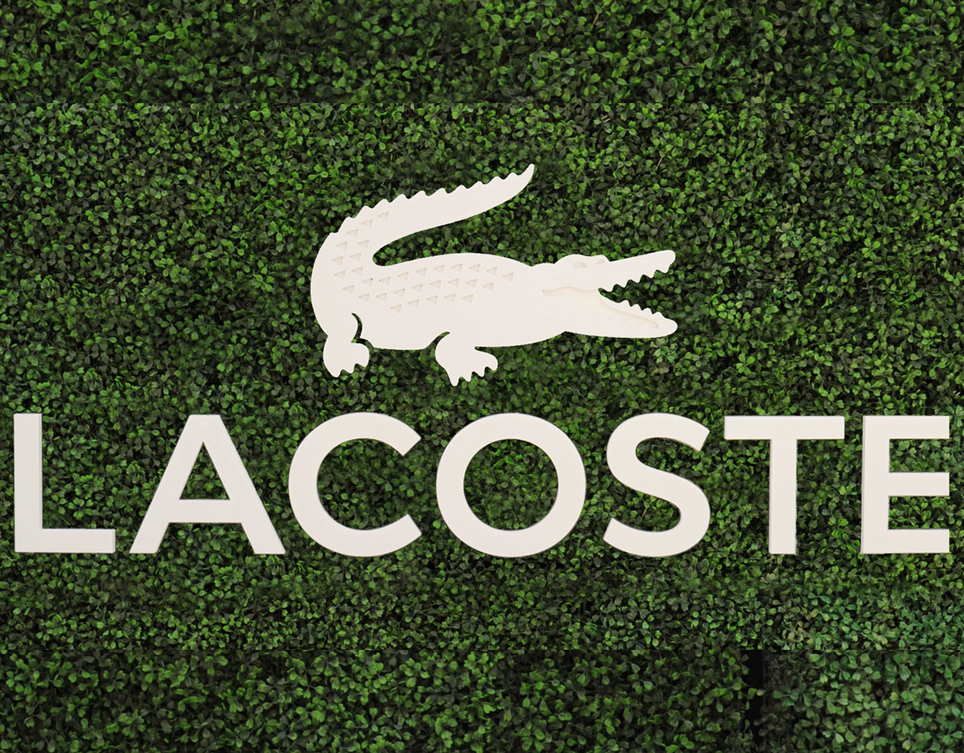 lacoste logo wallpaper high resolution