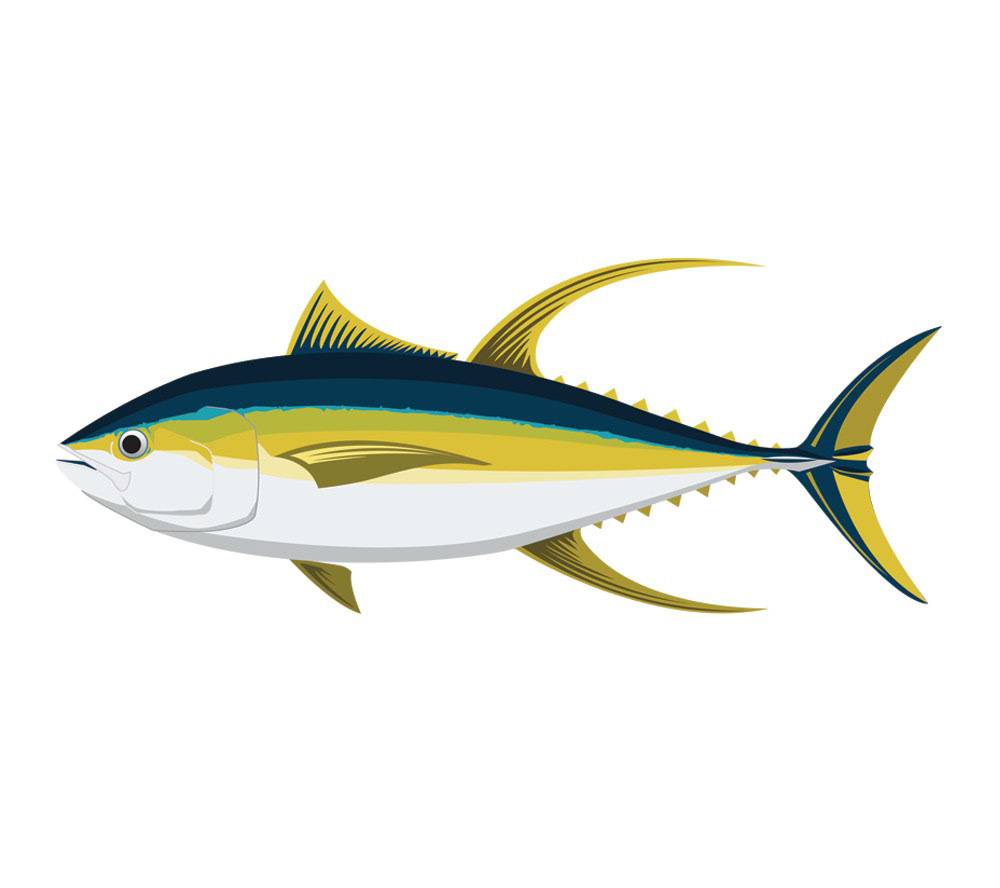 Download Fishboi Creative - Evan Wright - All the Tunas - Vector ...