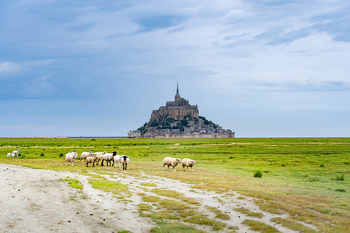 JeanMarie Rayapen Les prés salés du Mont SaintMichel