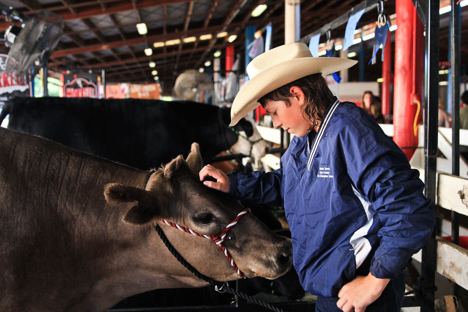 Boy in cowboy hat at county fair tends to his prize livestock