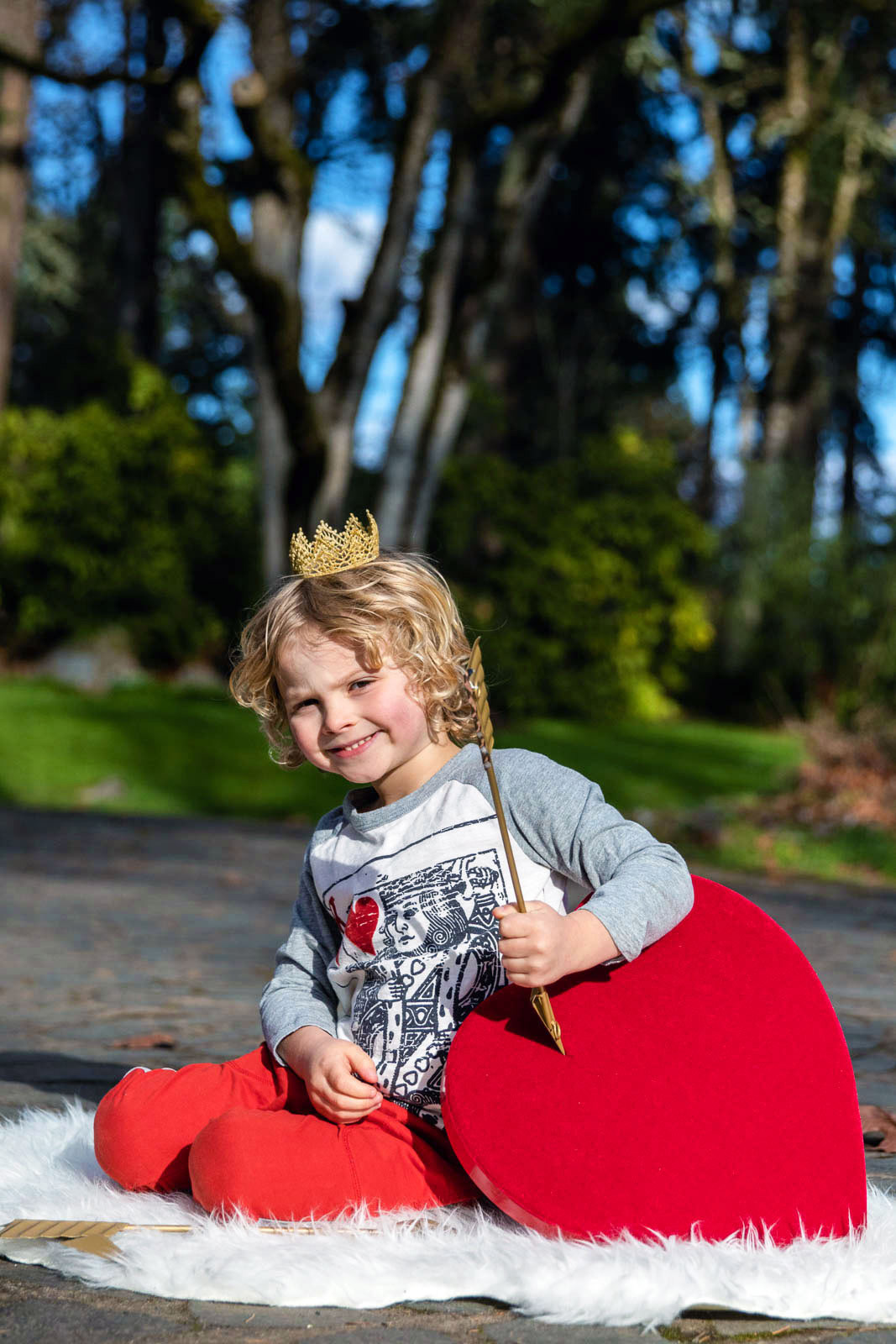 Portrait of young boy in a whimsical king of hearts costume