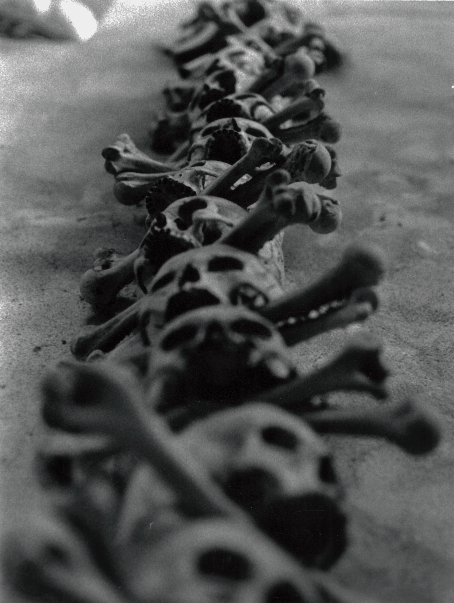 a column of skull-and-crossbones in the Sedlec Ossuary in Kútna Hora