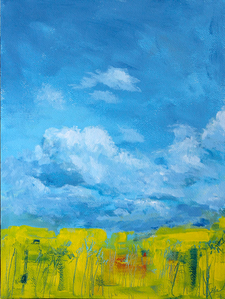 Campo, acrílico sobre papel, 41 x 31 cm, 220 €