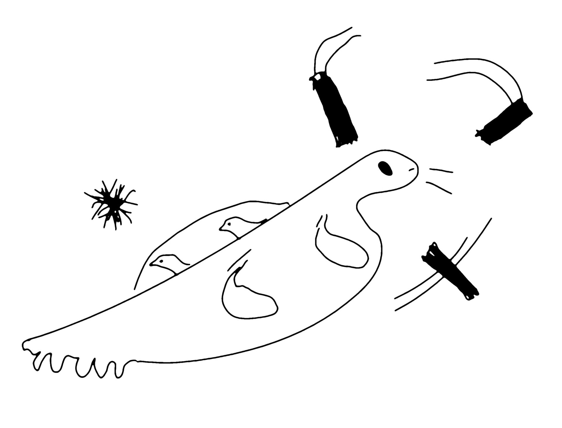 The Seal for Birds Encounters Trouble in Forbidden Waters