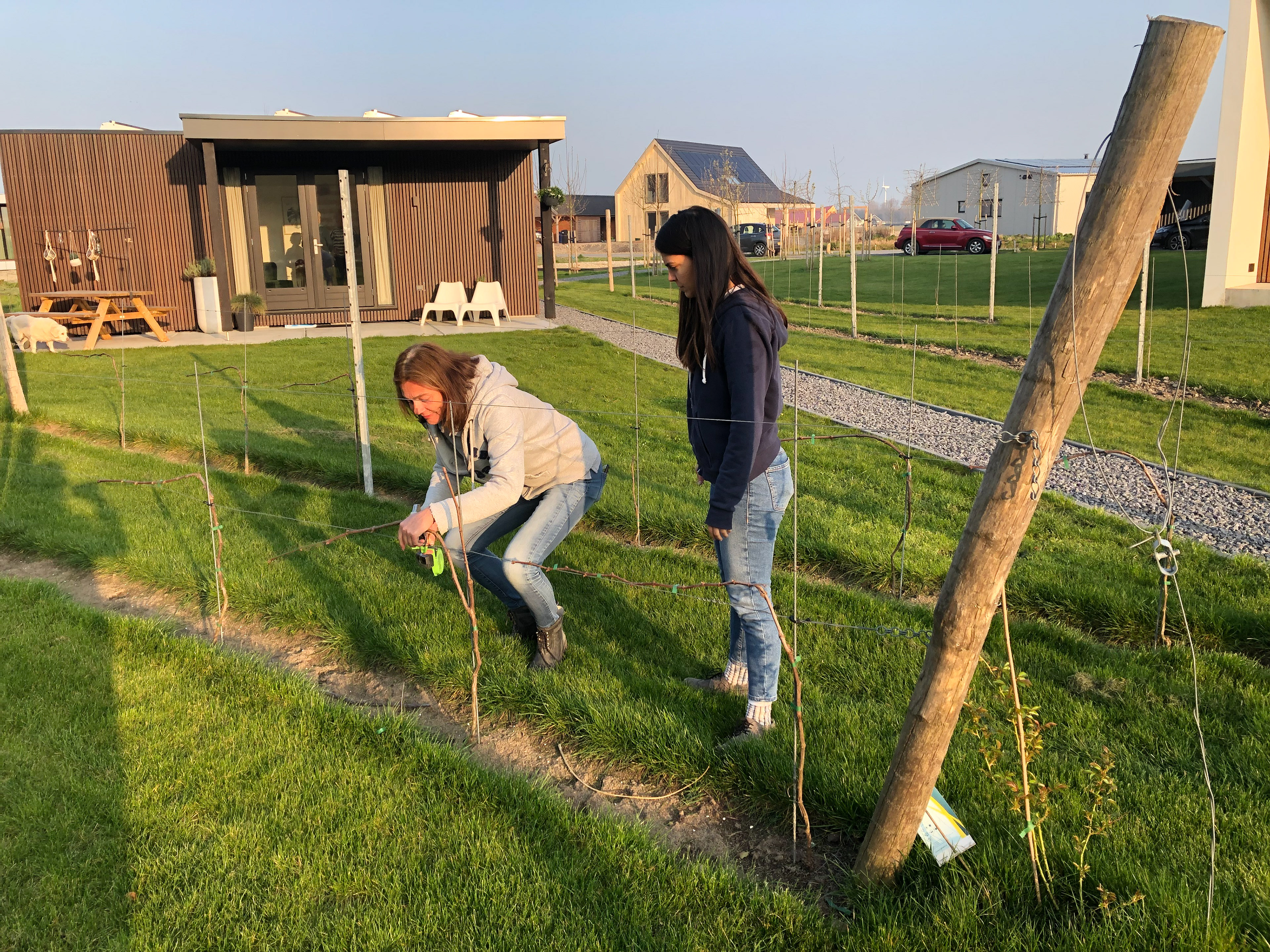 Thing-ethnography w/ a grower