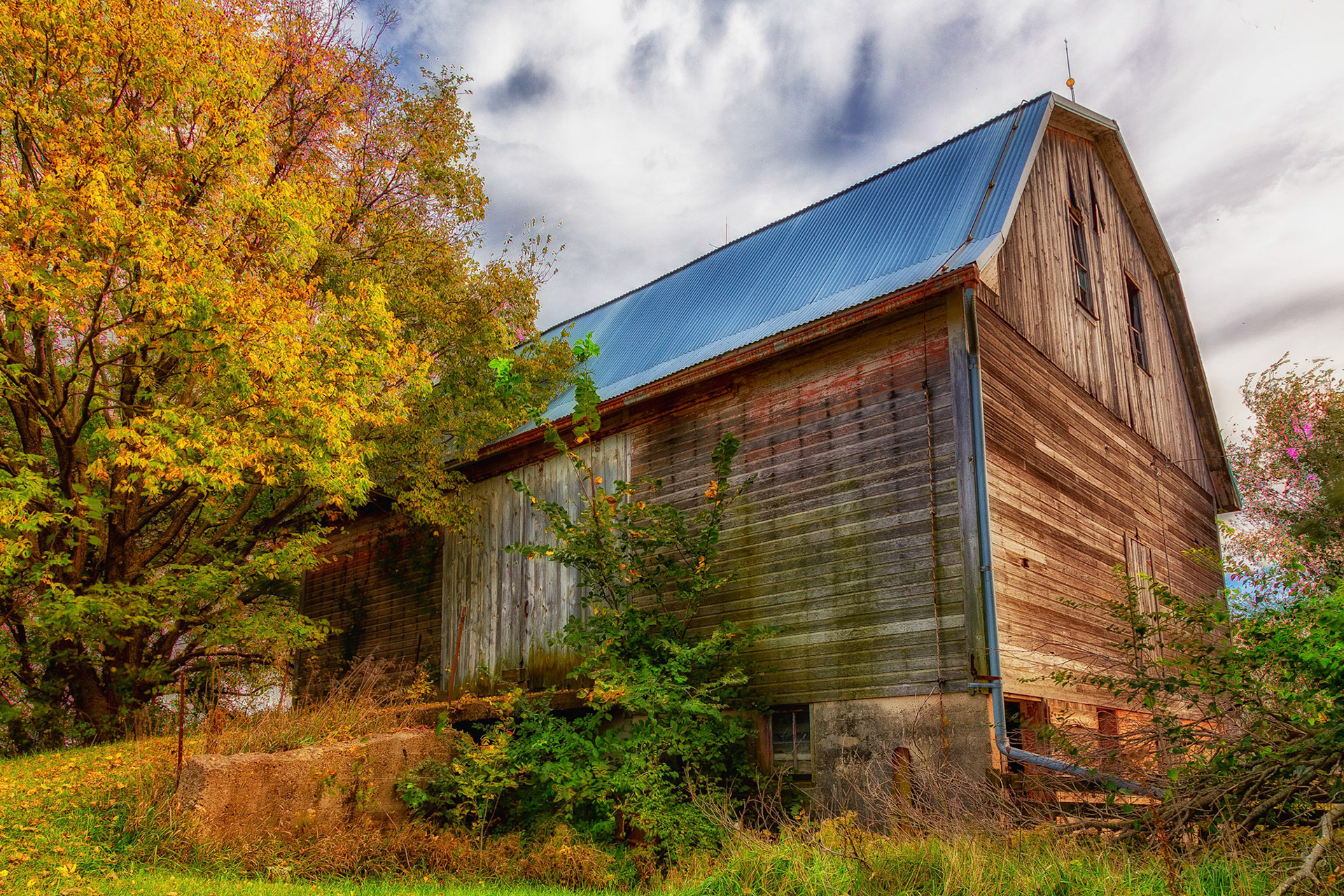 Barn on Broadway