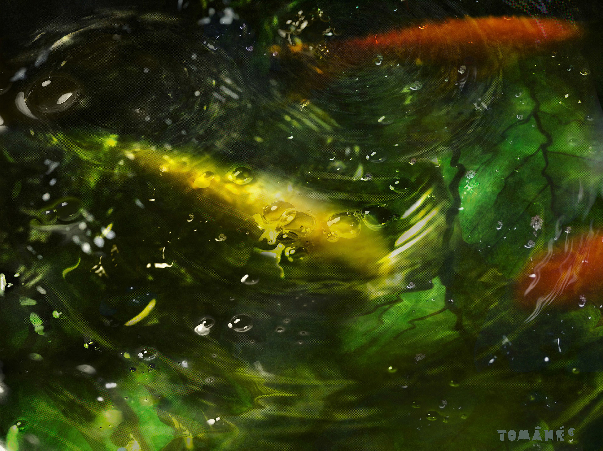 Terra Paradisum Nr..2; TP; Flora und Fauna ; Planten un Bloomen; Schaugewächshäuser des Botanischen Gartens der Universität Hamburg; Fotografieillustration