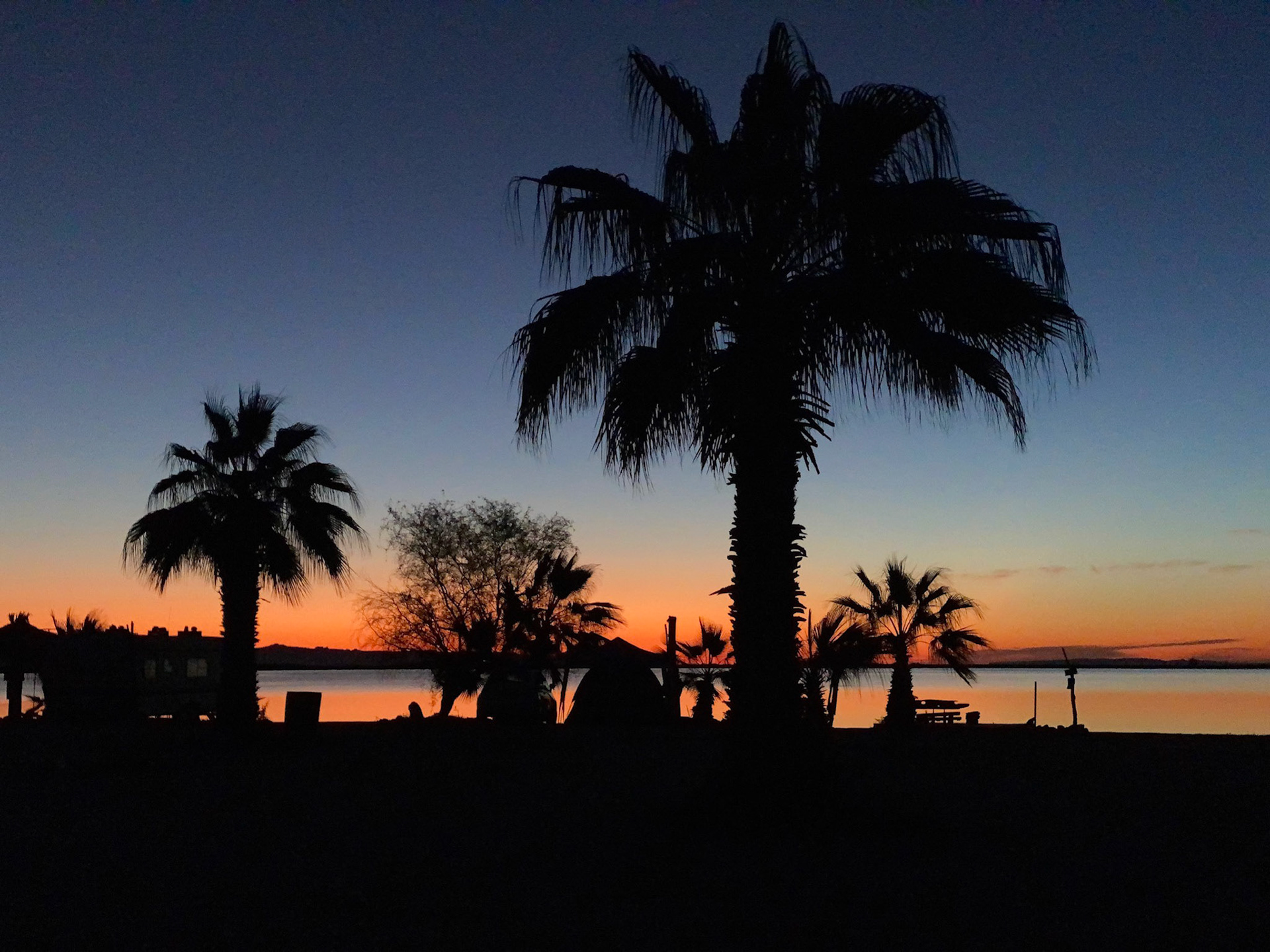 Camp 4 Drive Down: Sunrise at San Lucas Cove