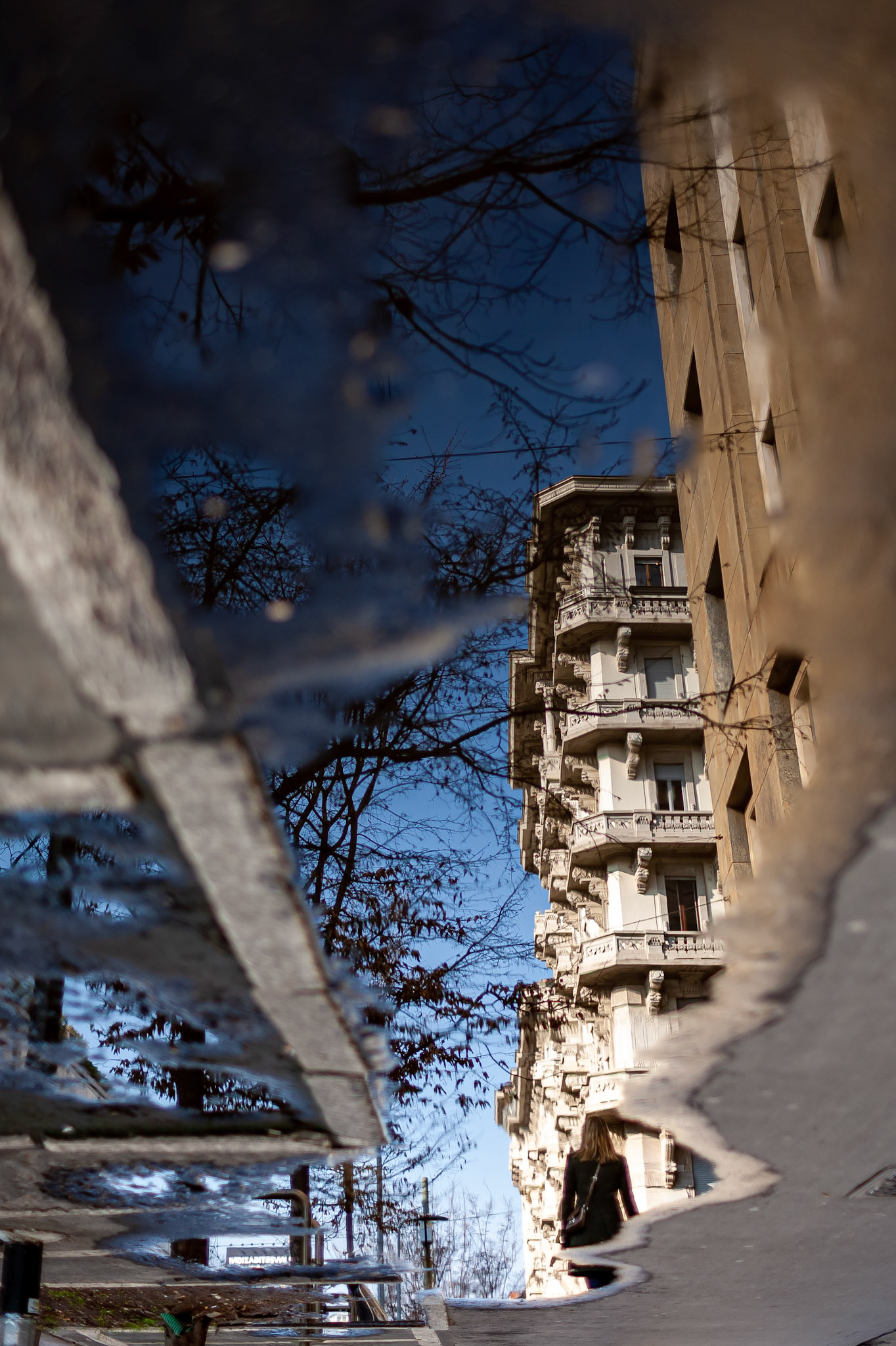 Puddle Reflection 10