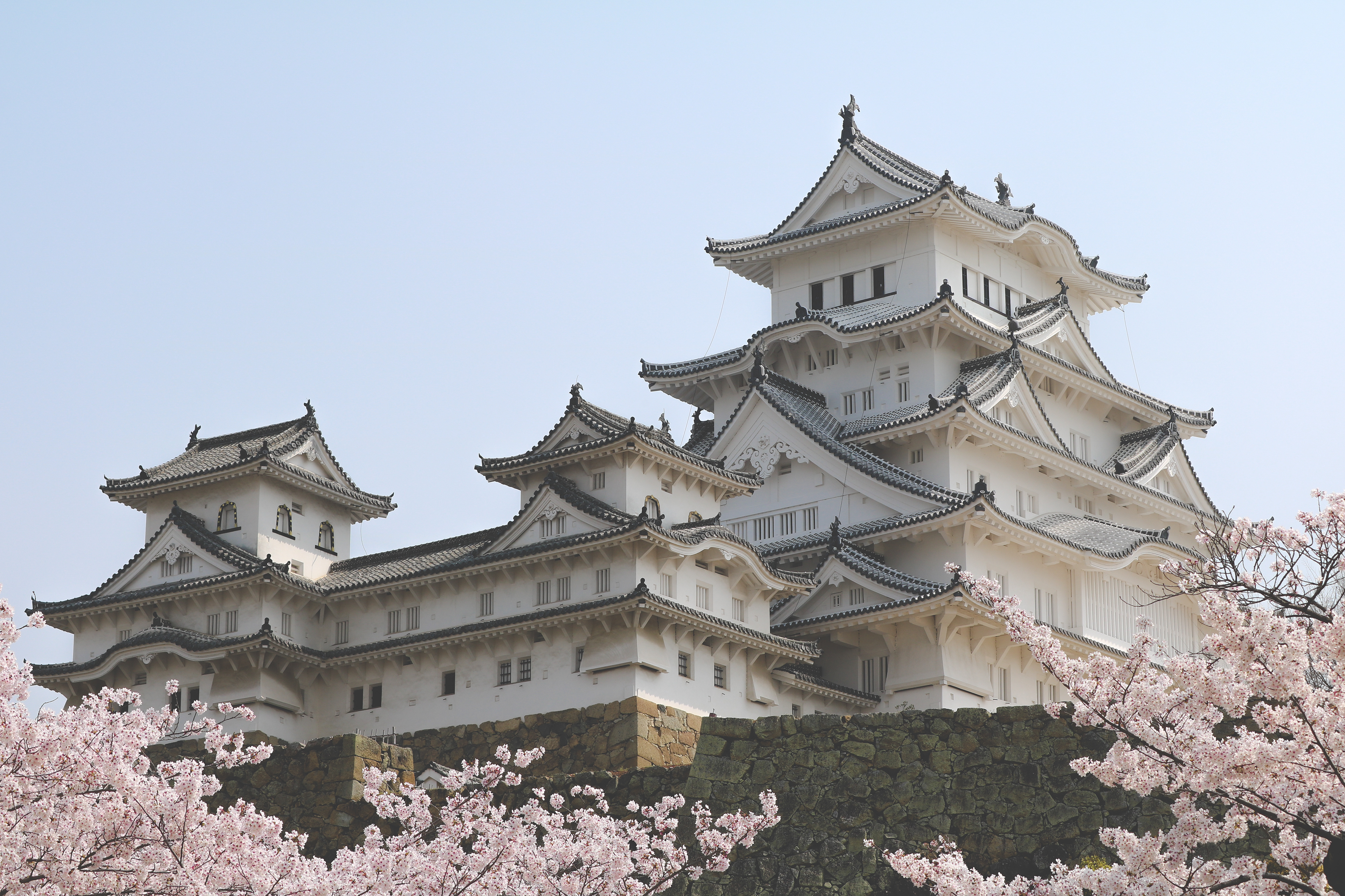 Himeji Castle with cherry blossom, Japan, 2018