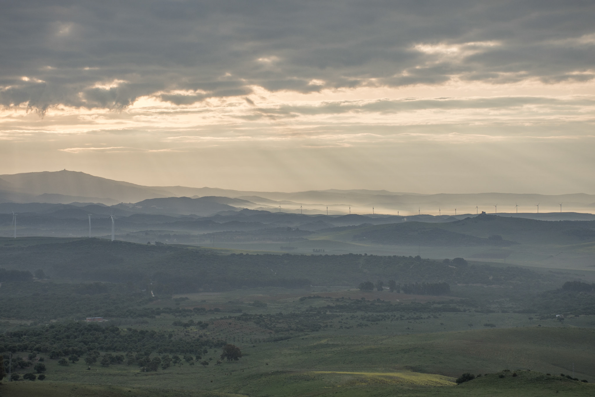 Morning mist over Los Arconocales