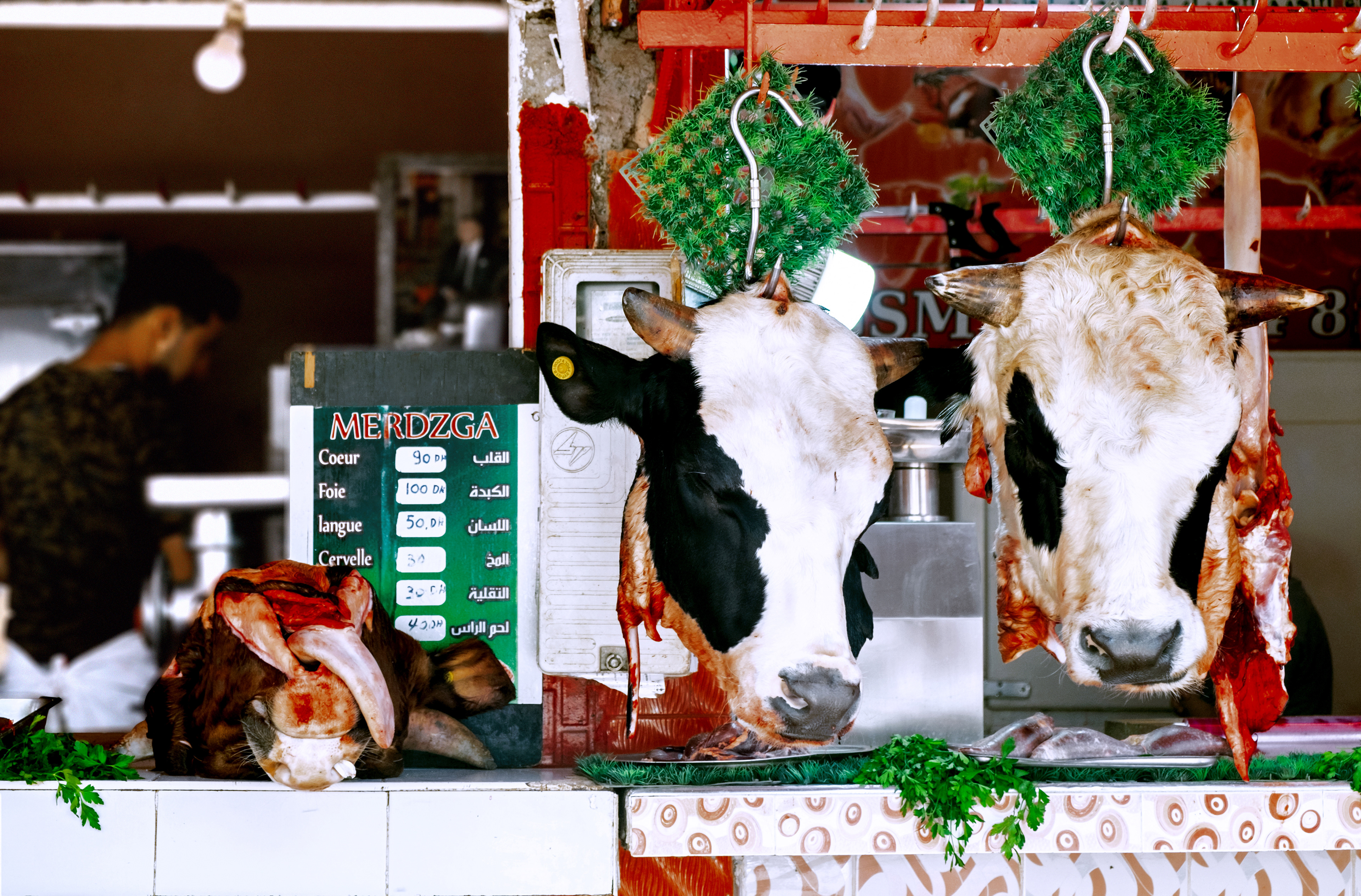 Kuhköpfe in Fleischerei, traditioneller marokkanischer markt