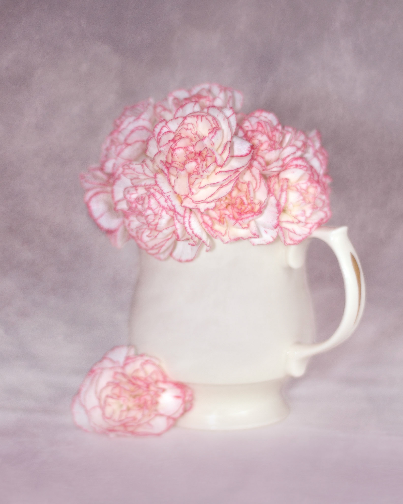 Pink And White