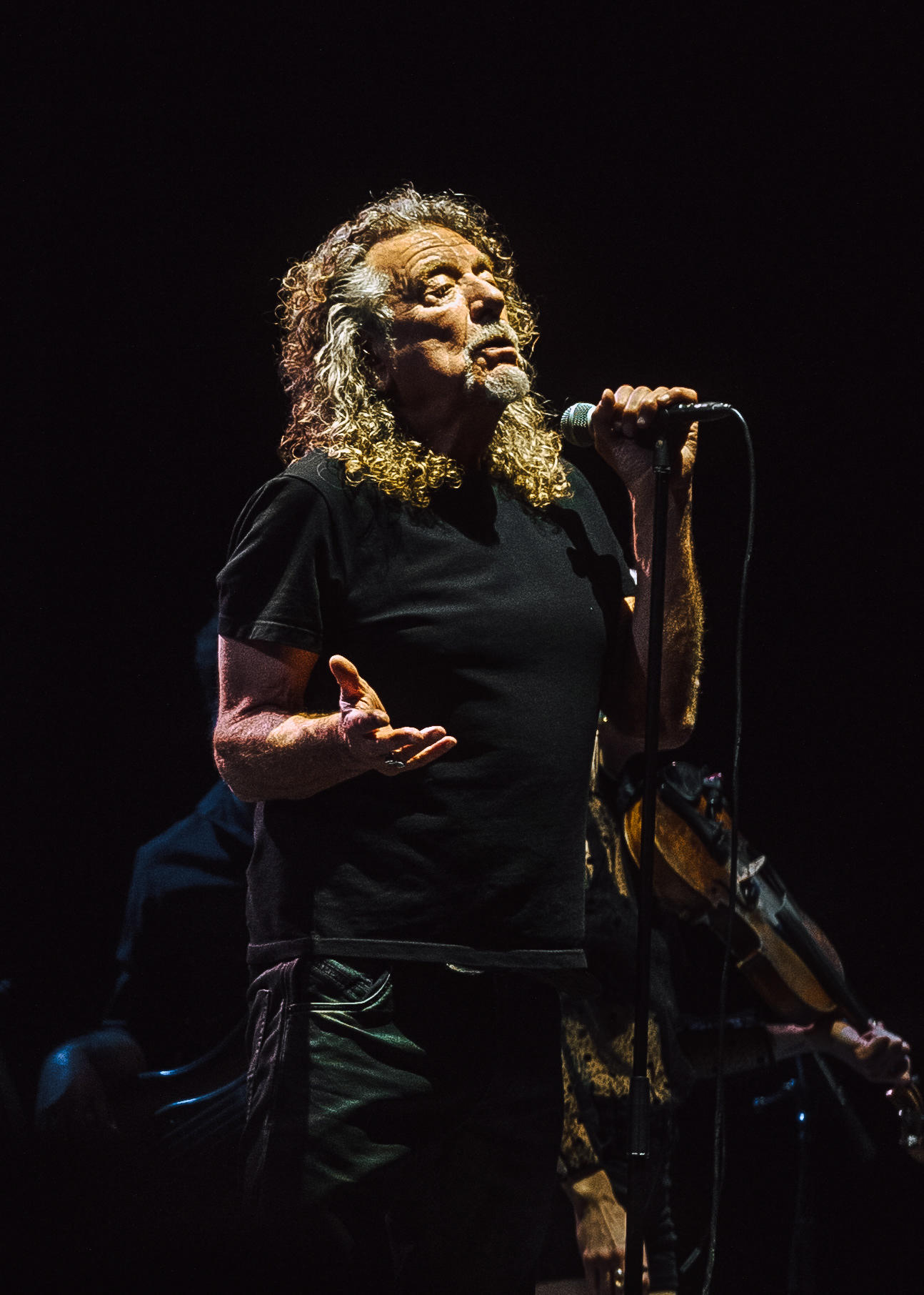 Robert Plant (Led Zeppelin)