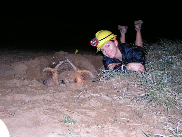 Marine Turtle monitoring
