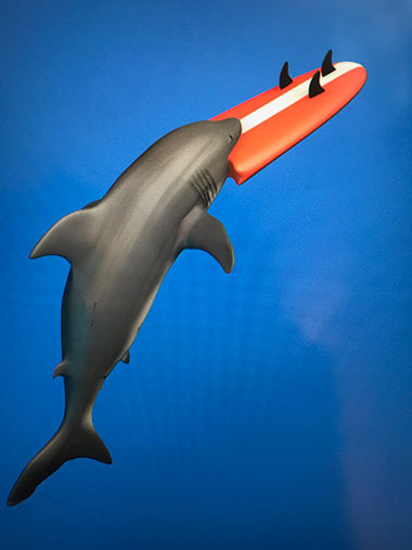 Shark in Cinema 4D