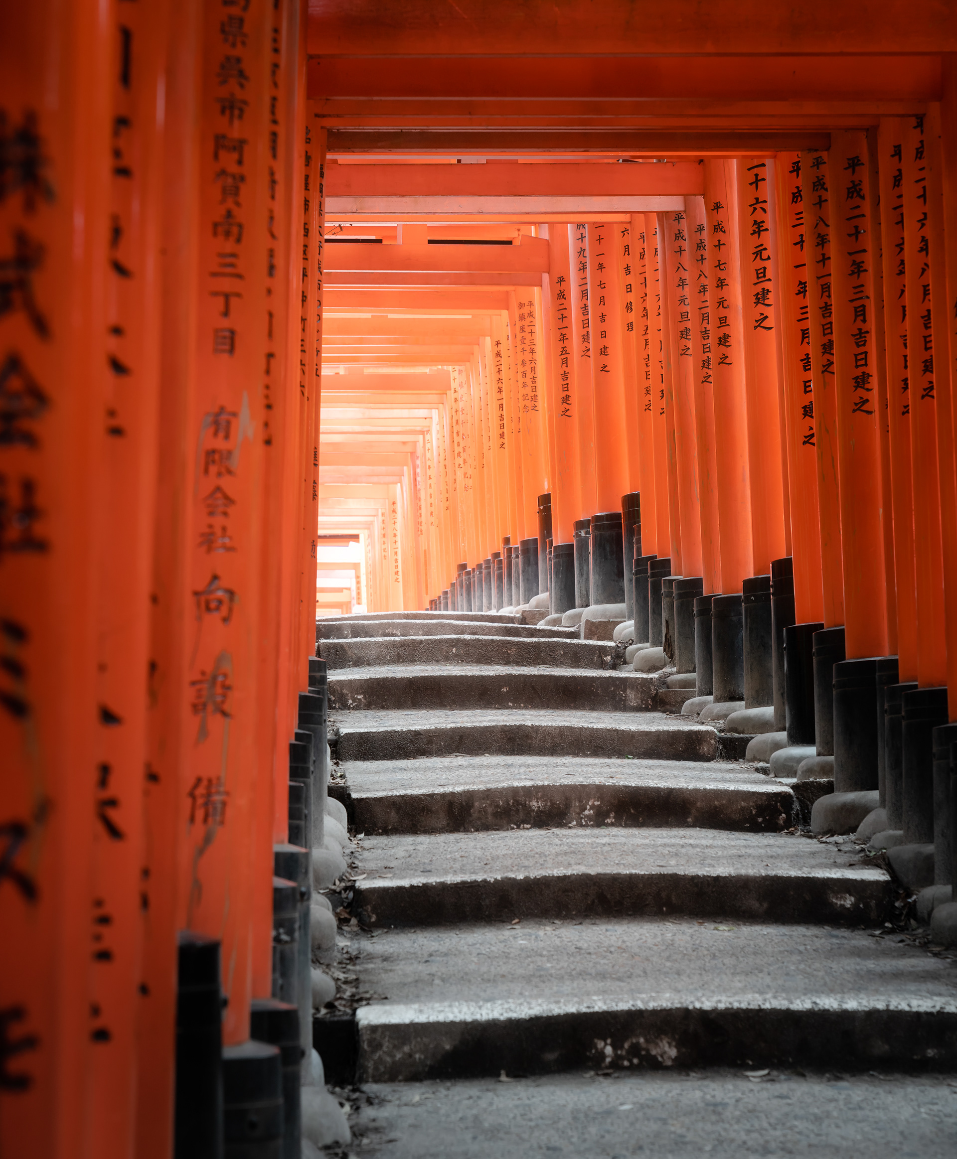 Senbon Torii, Kyoto