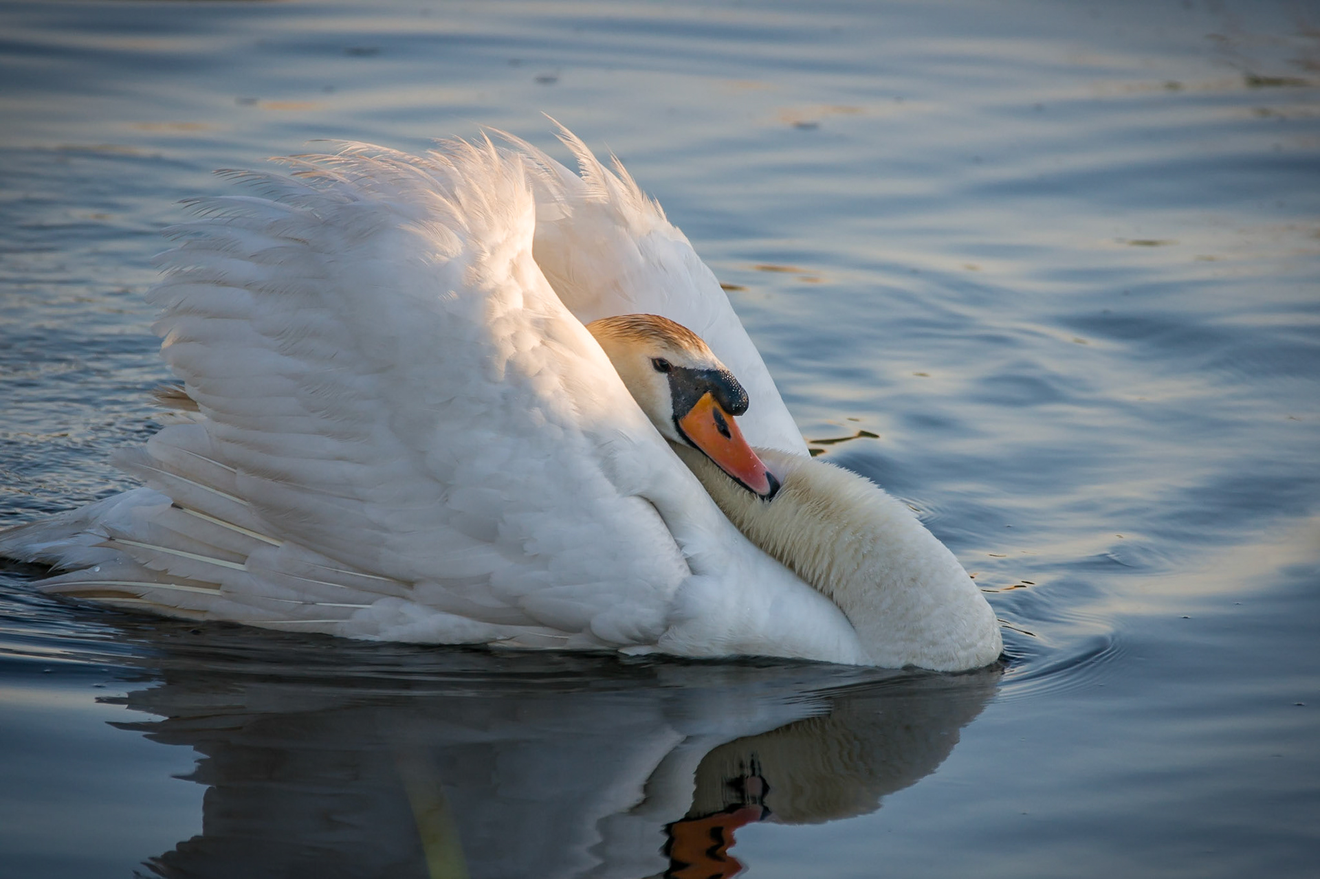 © fotoJAAP