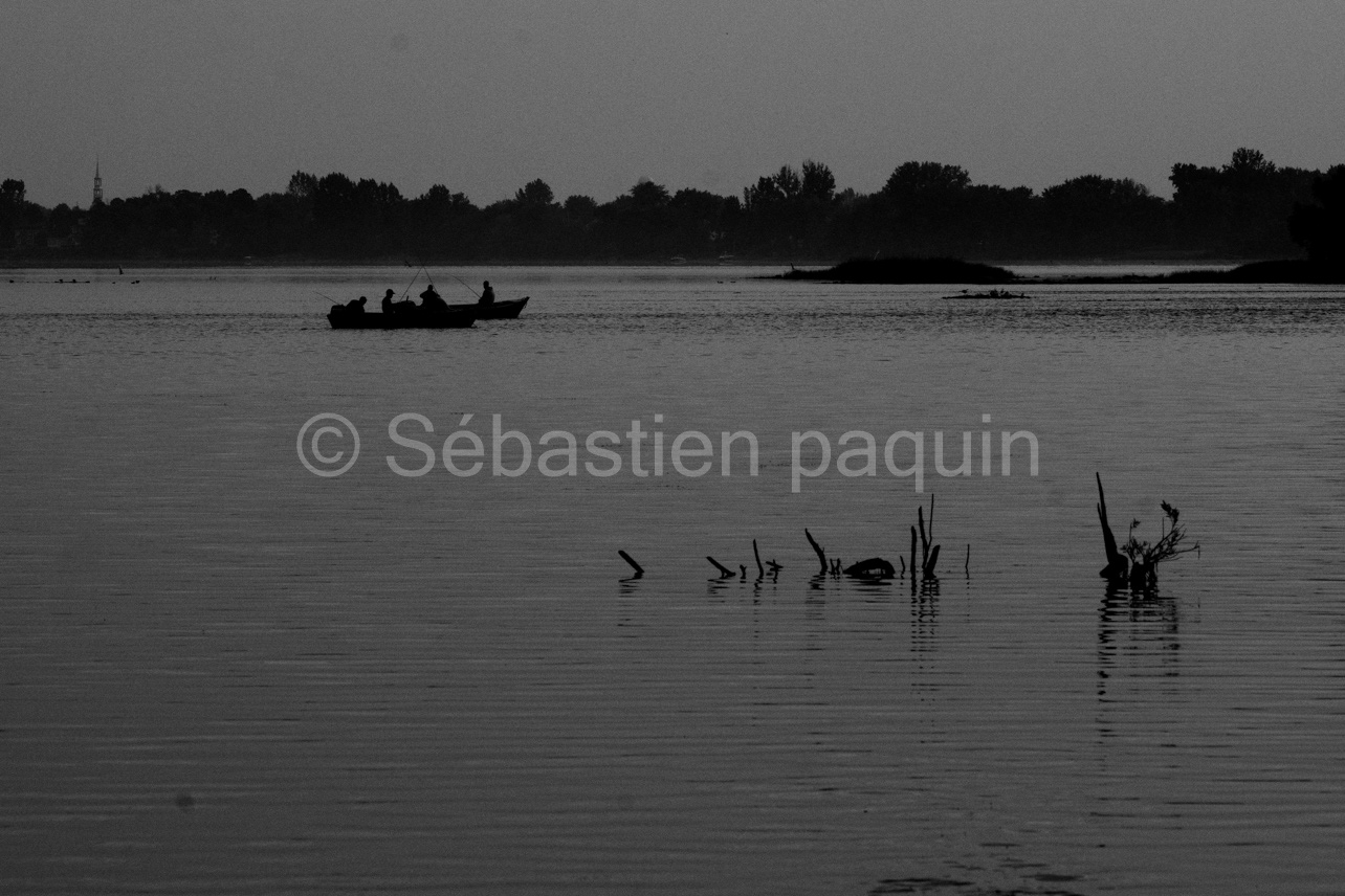 Bassin à l'aube