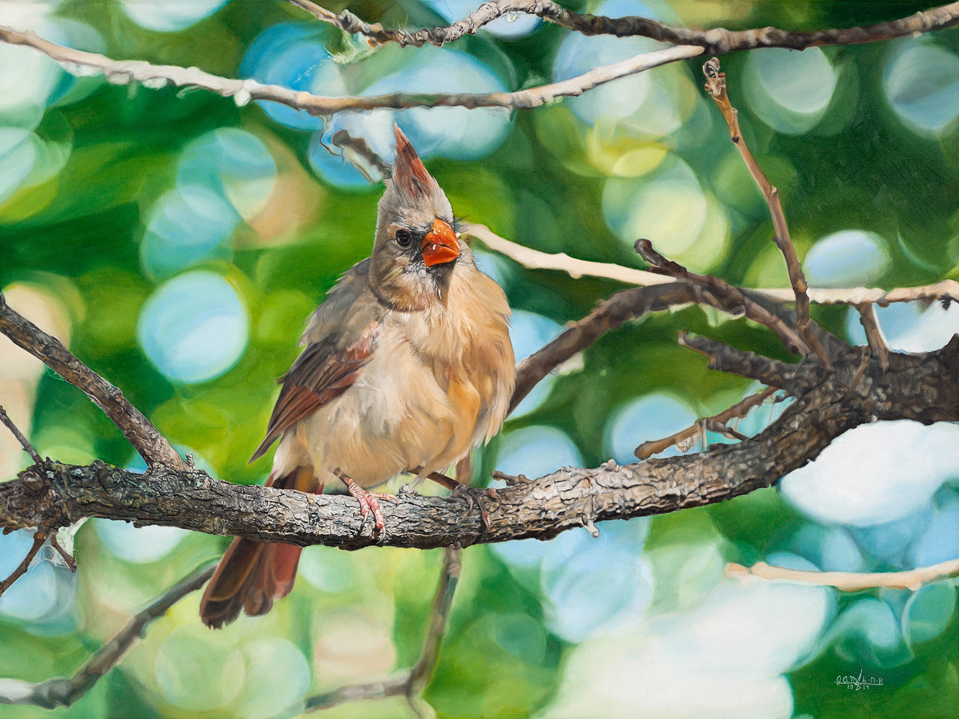 Cardinal in Spring