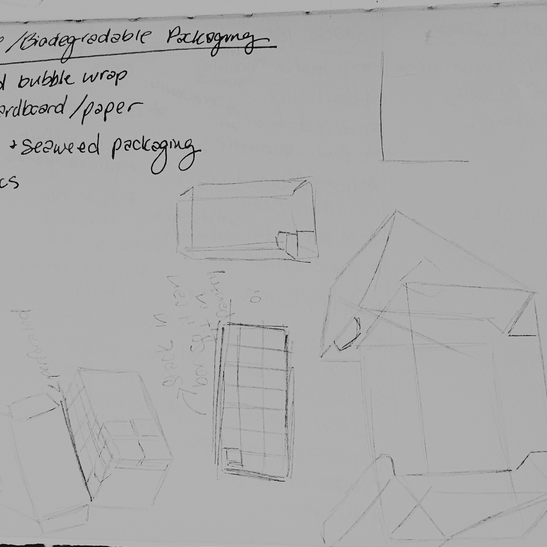 More box sketches and biodegradable packaging research