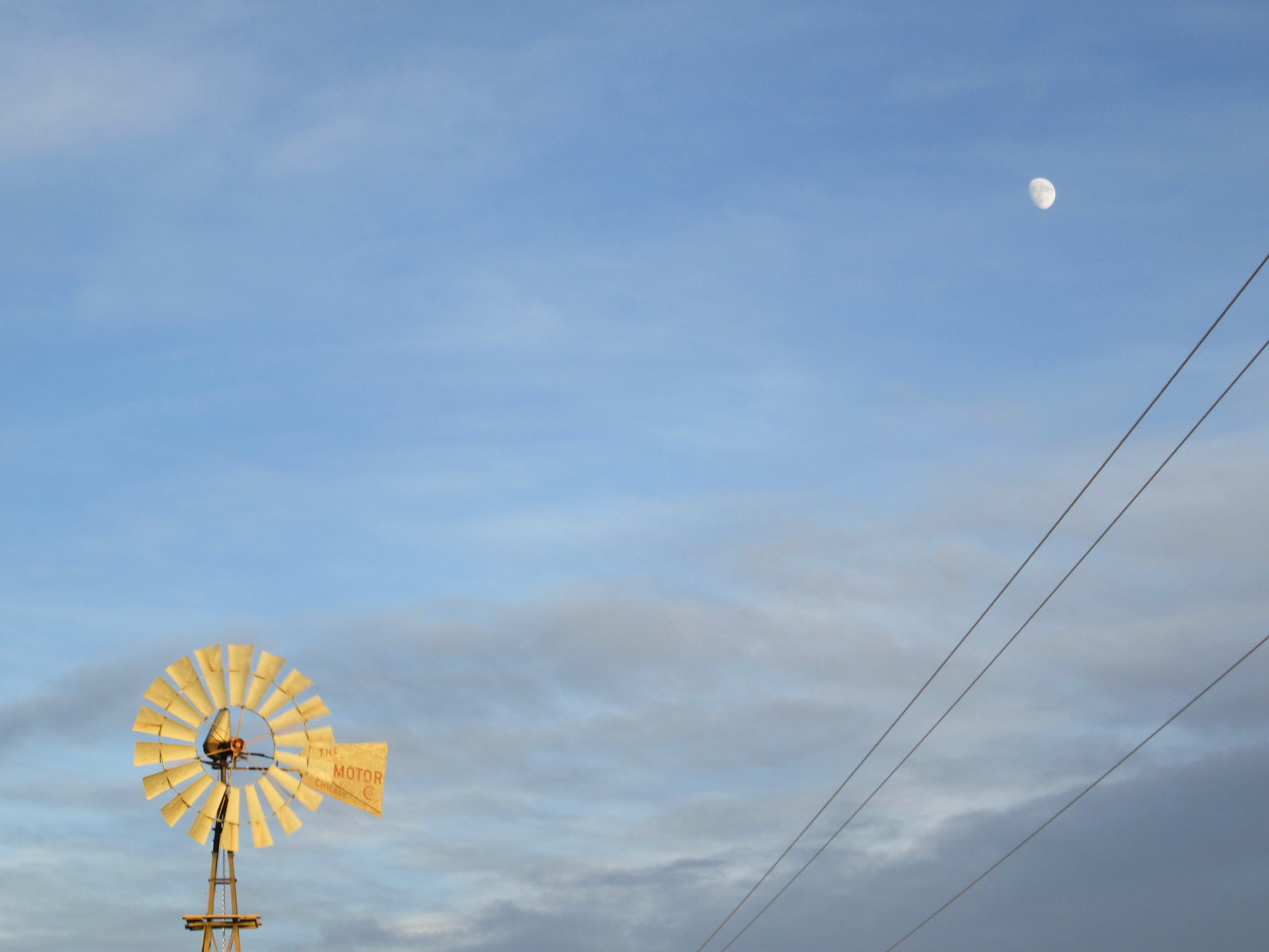windmills