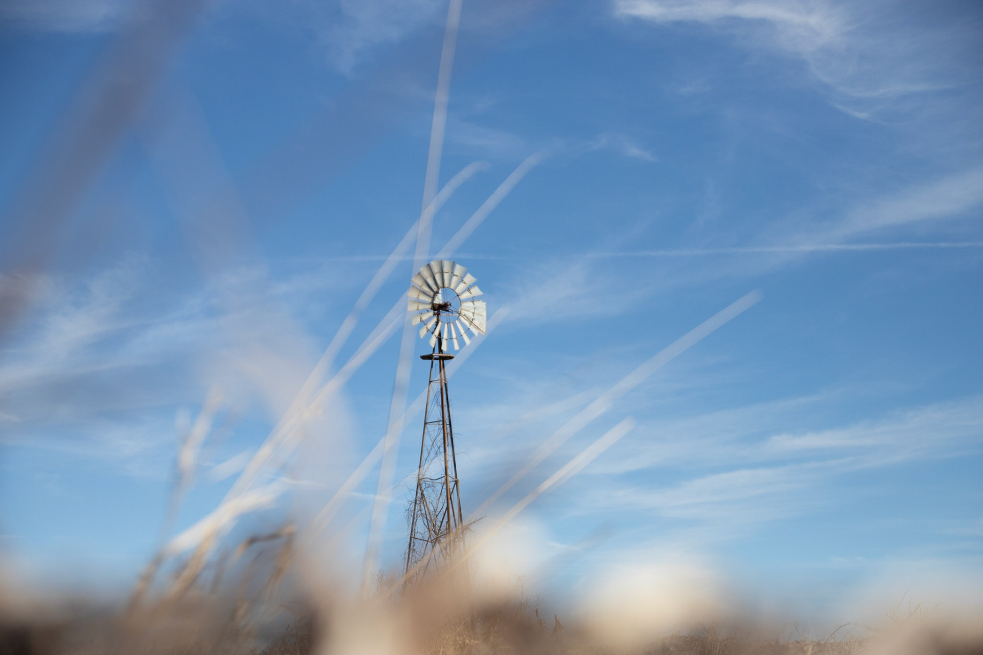 windmills