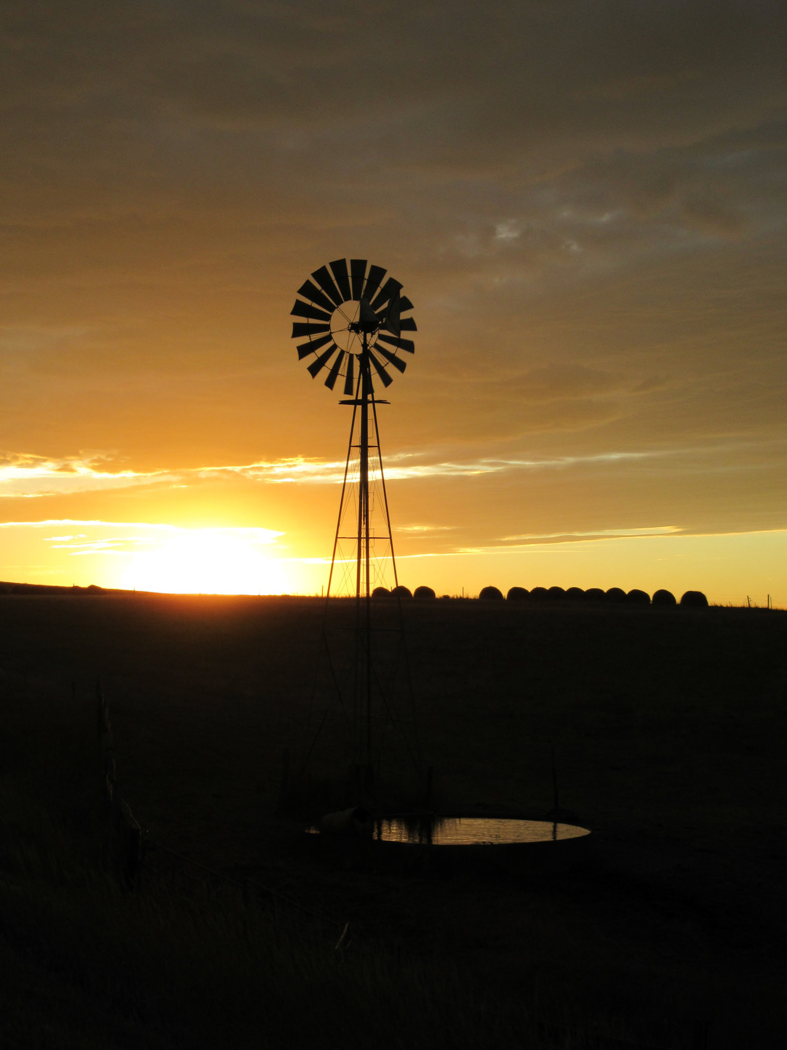windmills