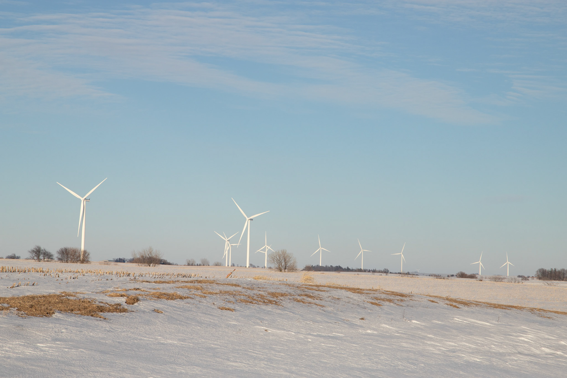 windmills