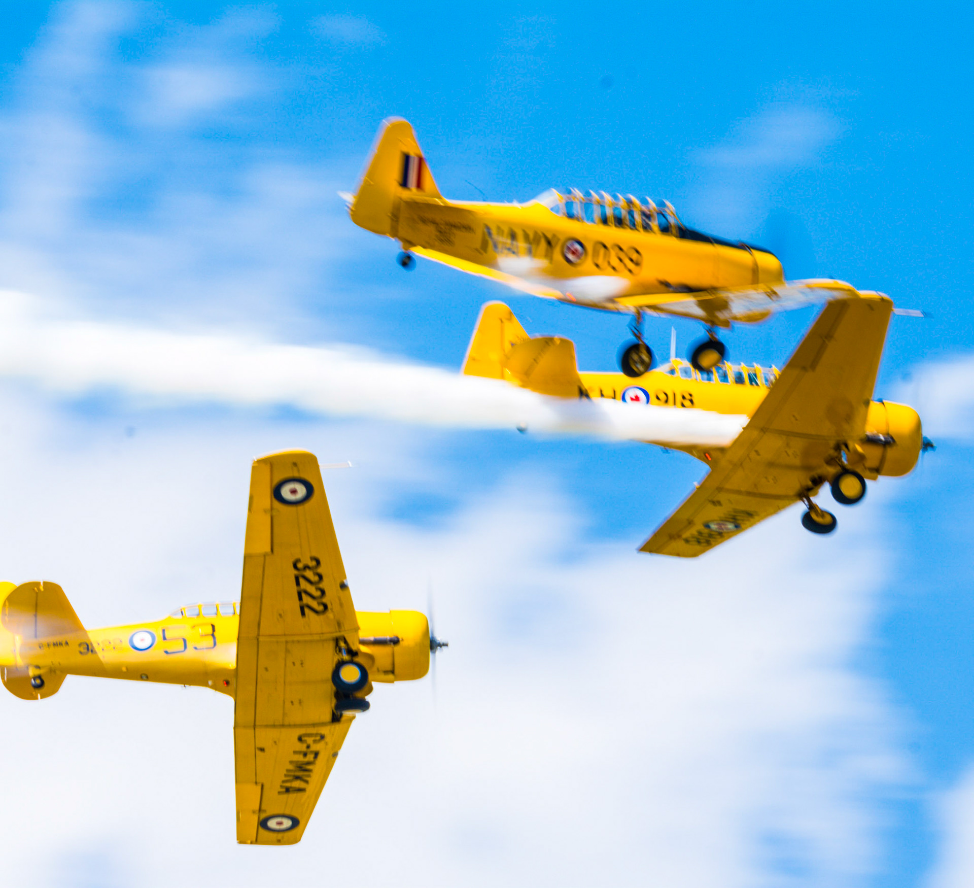 2019 Brantford Community Airshow