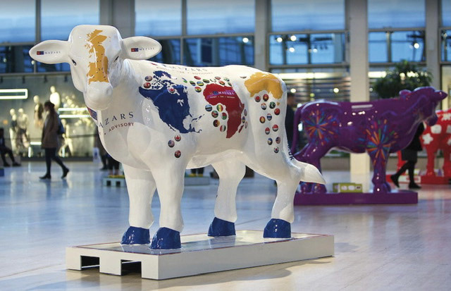 Mazars charity sponsored cow