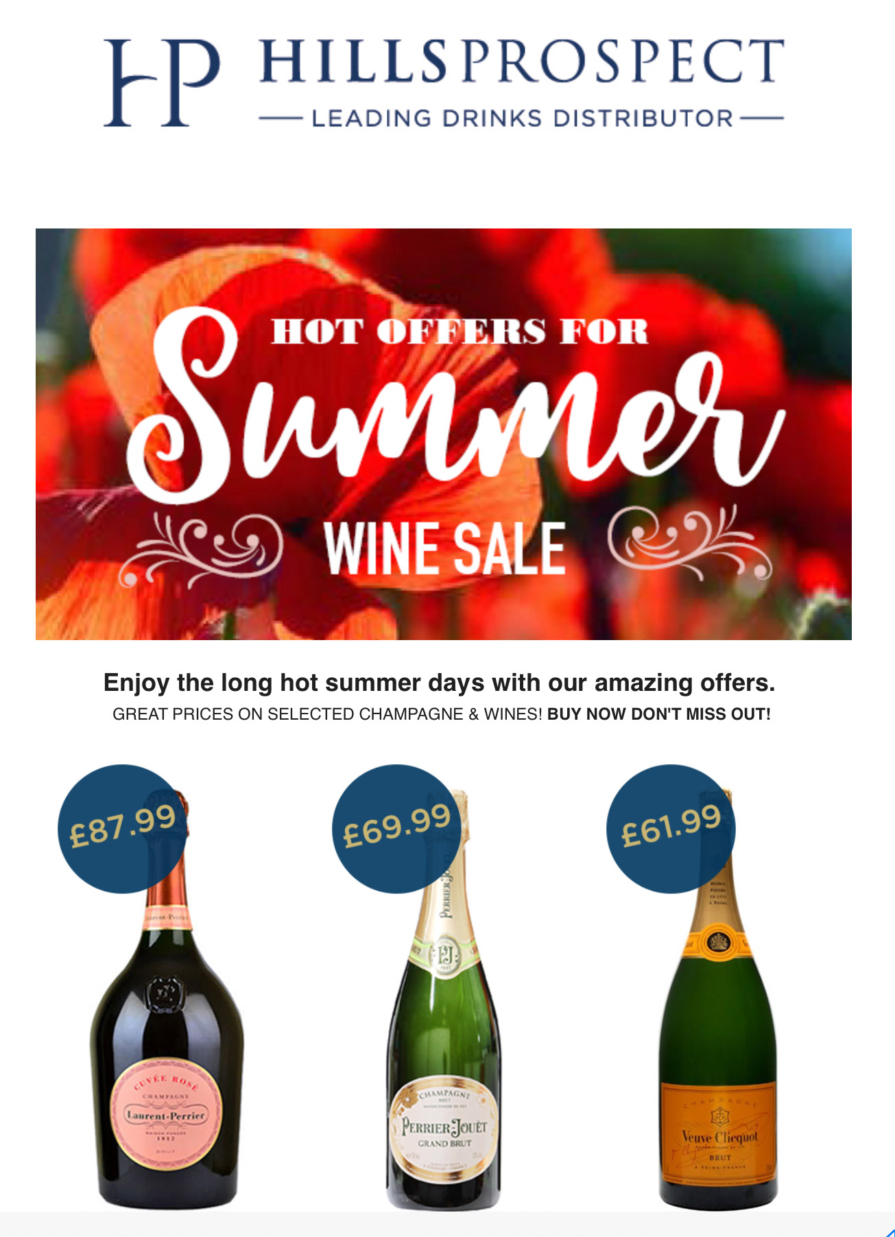 Hills Prospect email promotion design