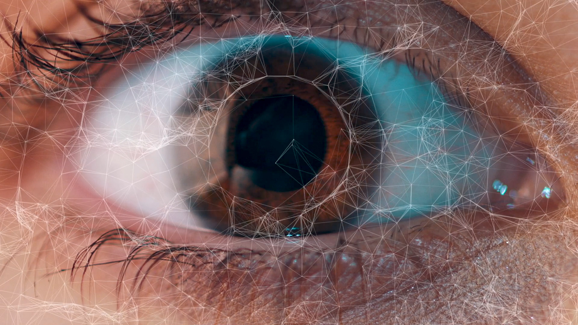 Eye Grid