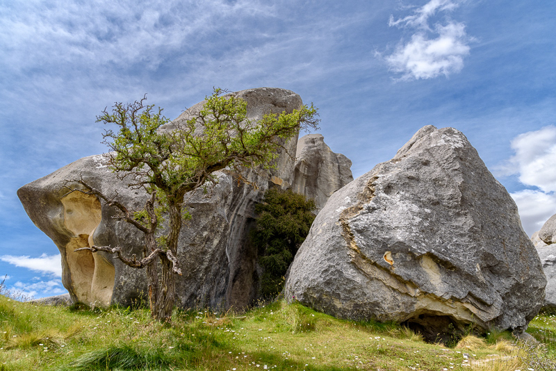 Kura Tawhiti (Castle Hill) 2 - Canterbury