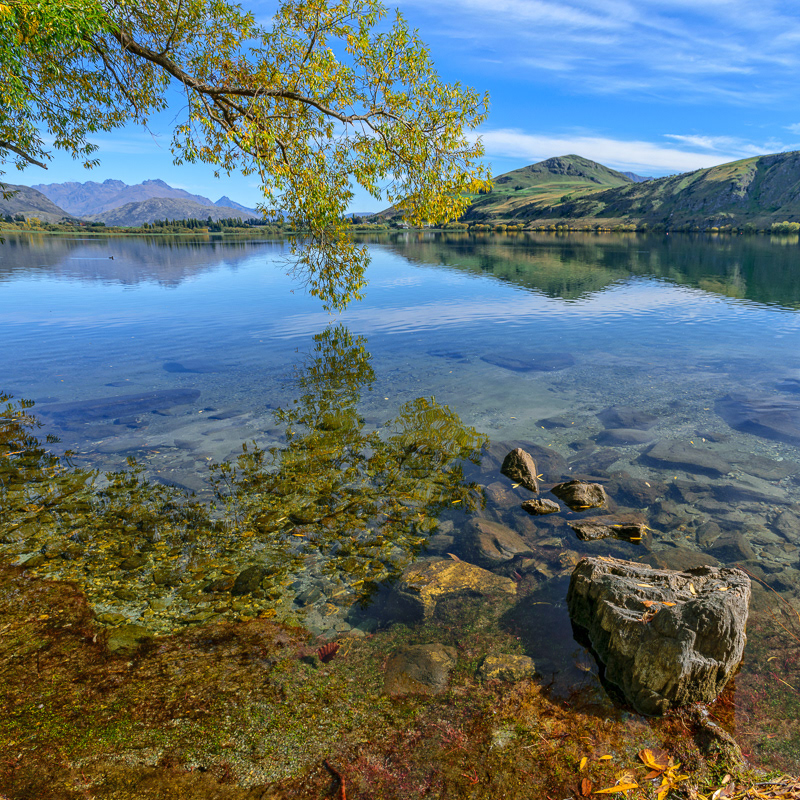 Reflections, Lake Hayes, Queenstown - Otago