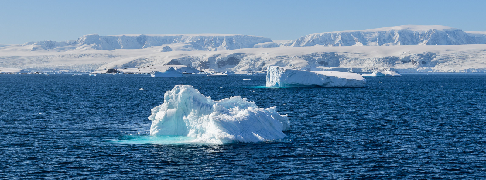 Icebergs near Mikkelsen Island