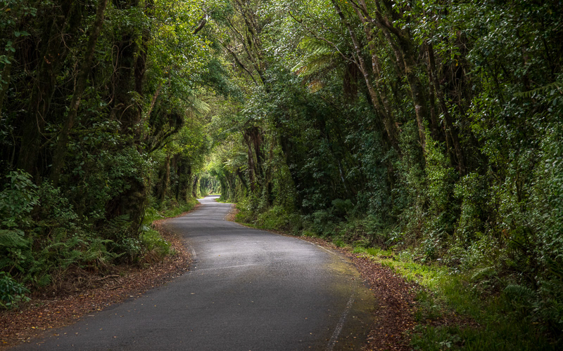 Road to Mount Taranaki (Mount Egmont) - Taranaki