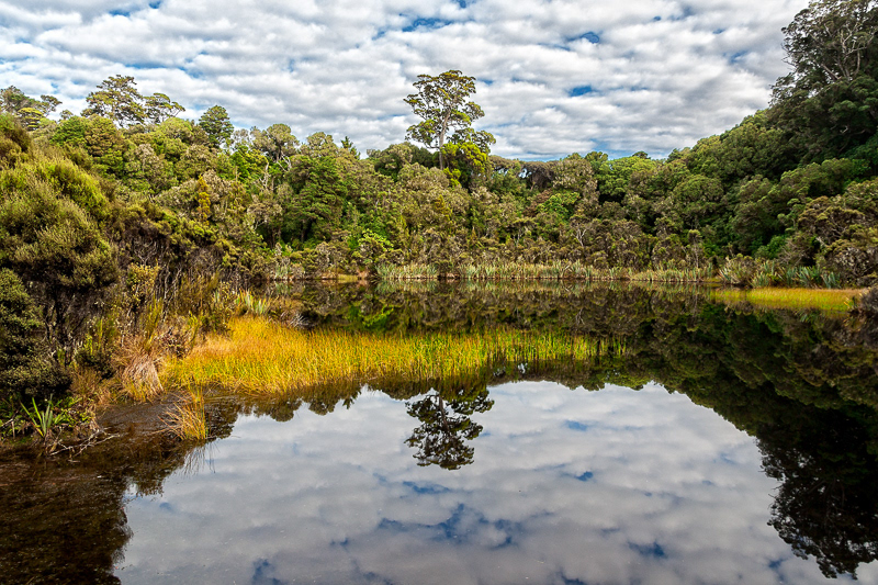 Lake Wilkie, Catlins - Otago