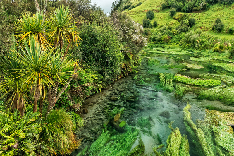 Te Waihou Walkway 3, Putaruru - Waikato