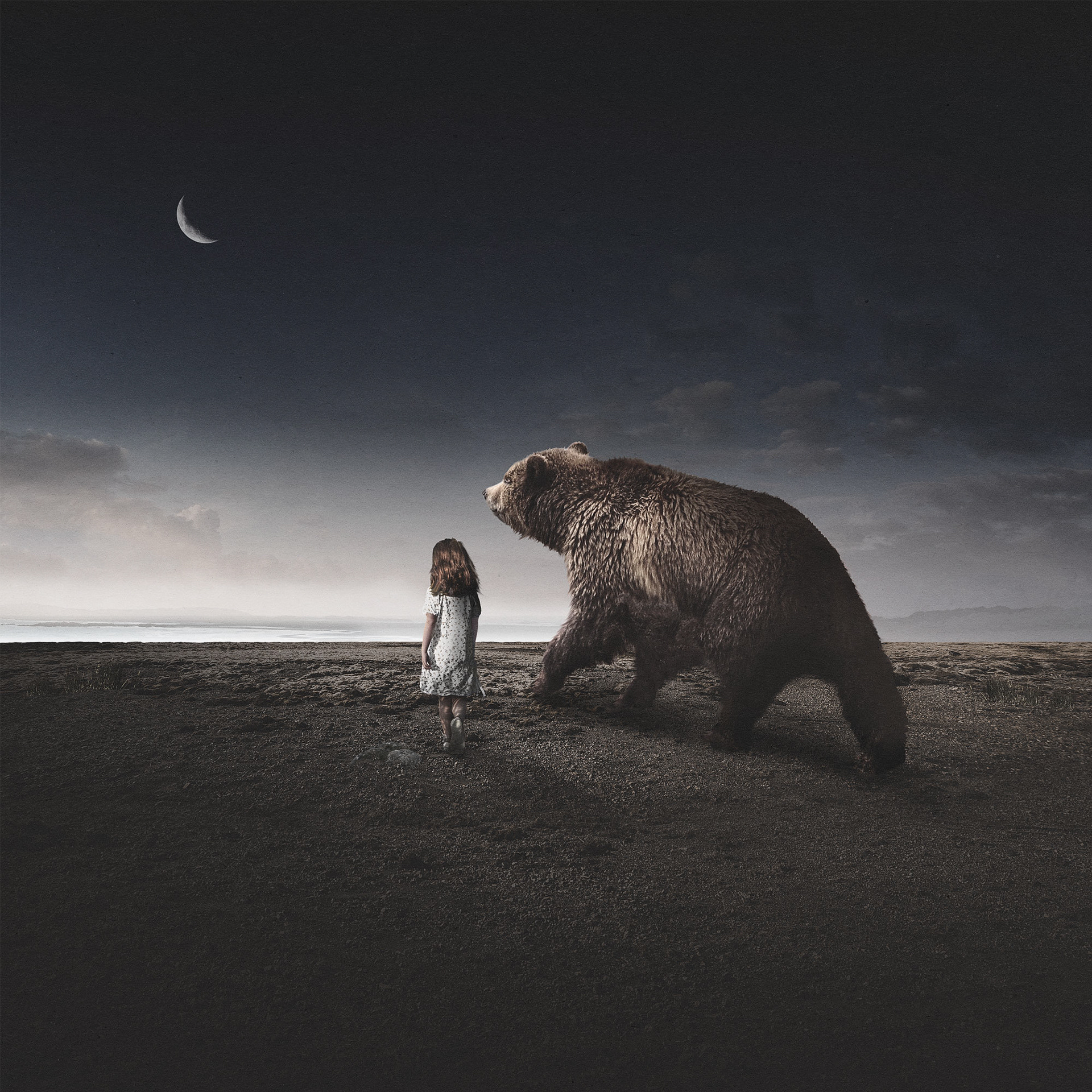 Companion Digital Art Photo Manipulation Surreal by Jeffrey Dirkse
