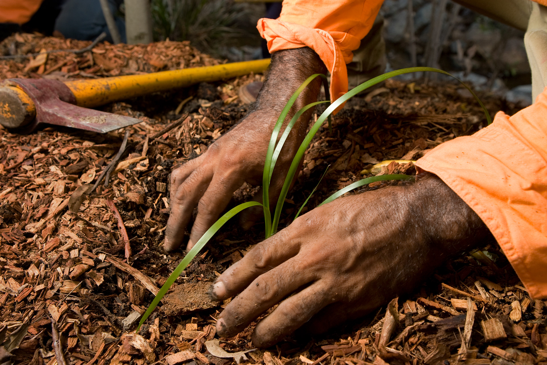 Roadside landscaper