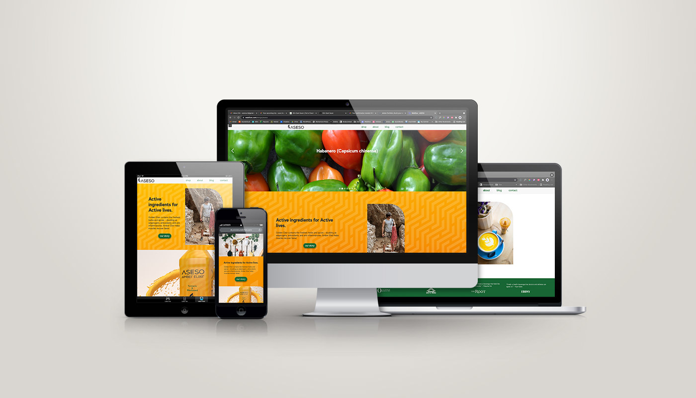 "ASESO" responsive website.