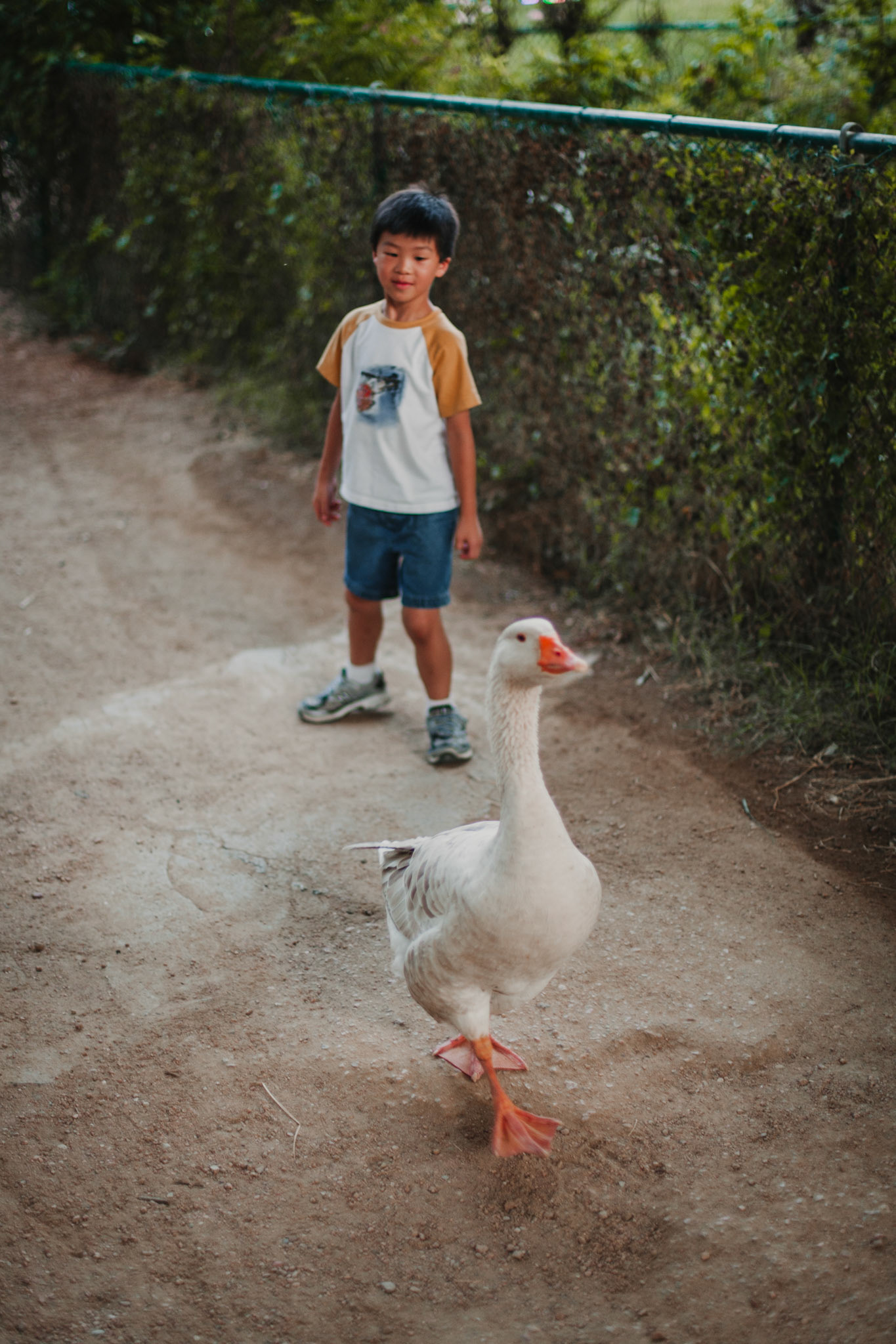 A chance encounter under Austin’s bat bridge.